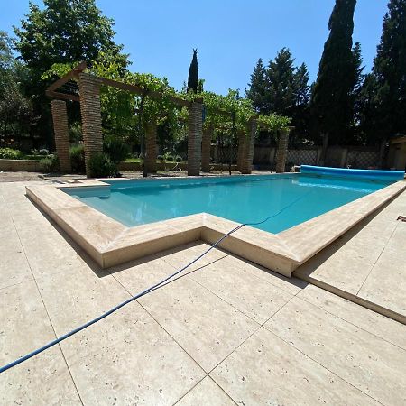 Rare House With Garden Villa Tiflis Dış mekan fotoğraf