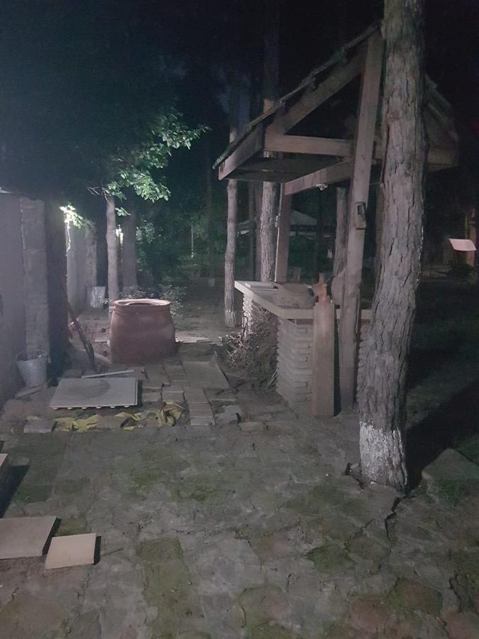 Rare House With Garden Villa Tiflis Dış mekan fotoğraf