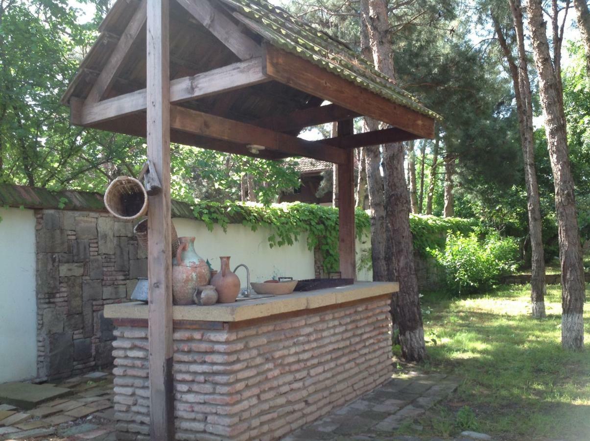 Rare House With Garden Villa Tiflis Dış mekan fotoğraf